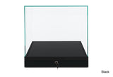 Countertop Museum Display Case
