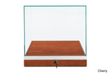 Countertop Museum Display Case