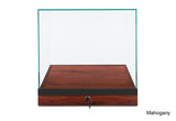 Countertop Museum Display Case
