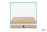 Countertop Museum Display Case