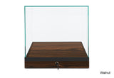Countertop Museum Display Case