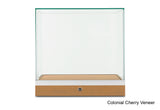 Countertop Museum Display Case