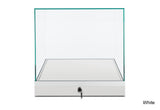 Compact Countertop Museum Display Case