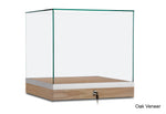 Countertop Museum Display Case