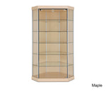 Attractive Corner Glass Display Case with Hinged Door and Clipped Back