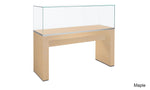 Modern Museum Display Case with Lift-off Top