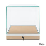 Countertop Museum Display Case